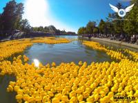 Imagine atasata: EyeInTheSky.ro-TM-Cursa-Ratuste-2013-01.jpg